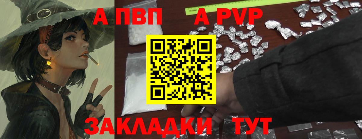A PVP СК КРИС Ржев