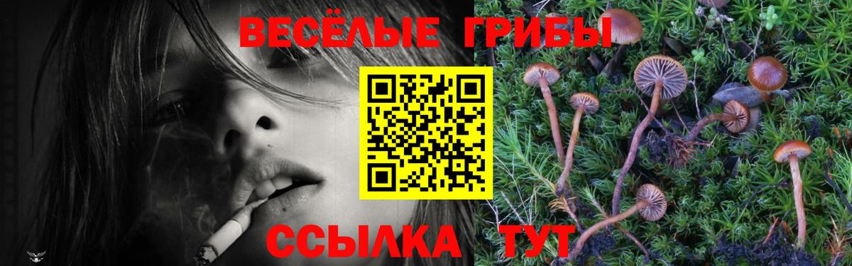 Псилоцибиновые грибы MAGIC MUSHROOMS Ржев